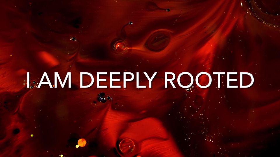 WBB-Week 1 Root Chakra Affirmations